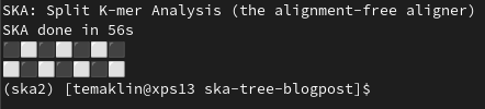Screenshot of the output written by SKA to terminal