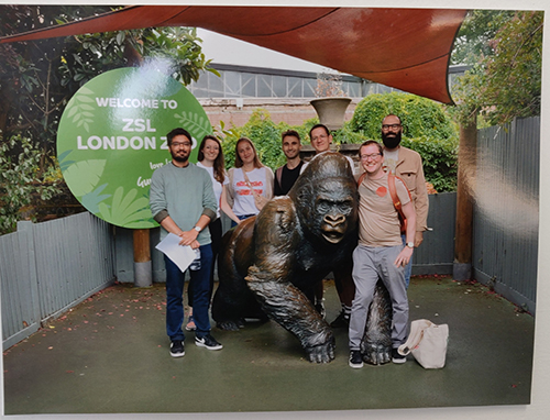 Group retreat at London Zoo (Gorilla sadly not in our group)