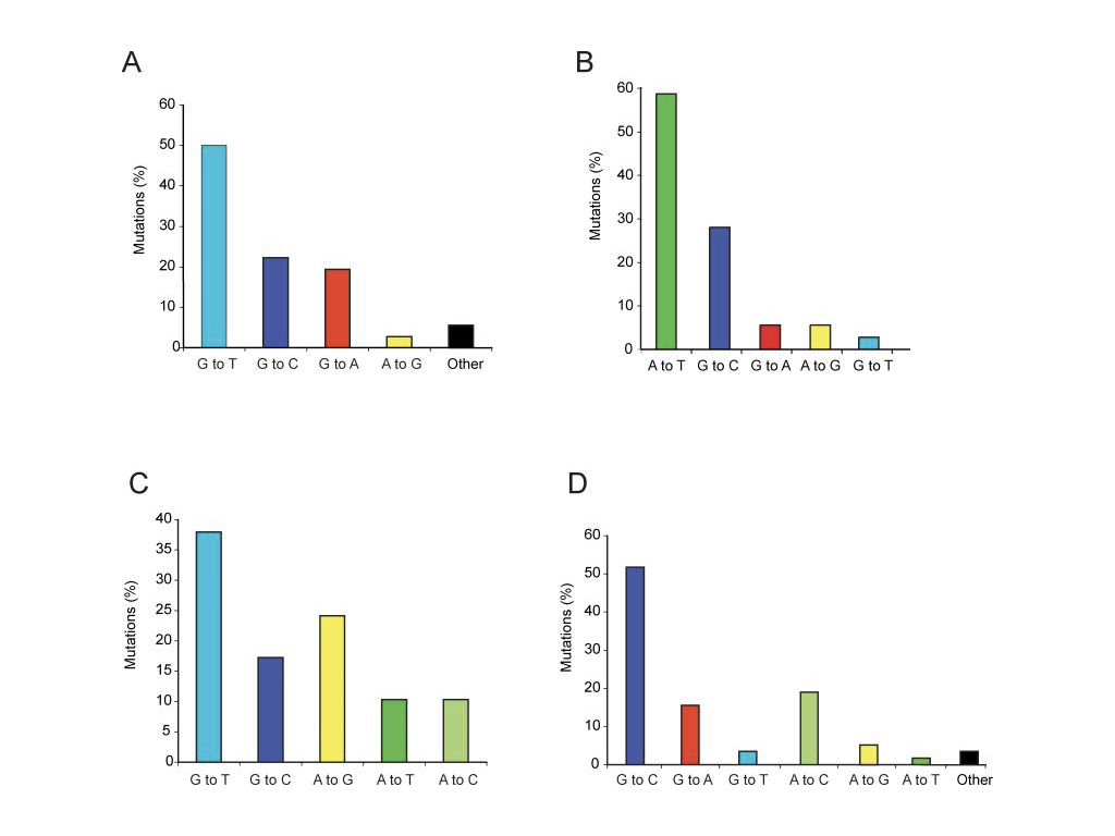 Figure 1: Mutation spectra for the p53 in Hupki mouse embryonic fibroblasts when exposed to benzo(a)pyrene (A), aristolochic acid (B), 3-nitrobenzanthrone (C), and control conditions (D). Figure adapted from Pfeifer & Besaratinia, Human Genetics (2009)