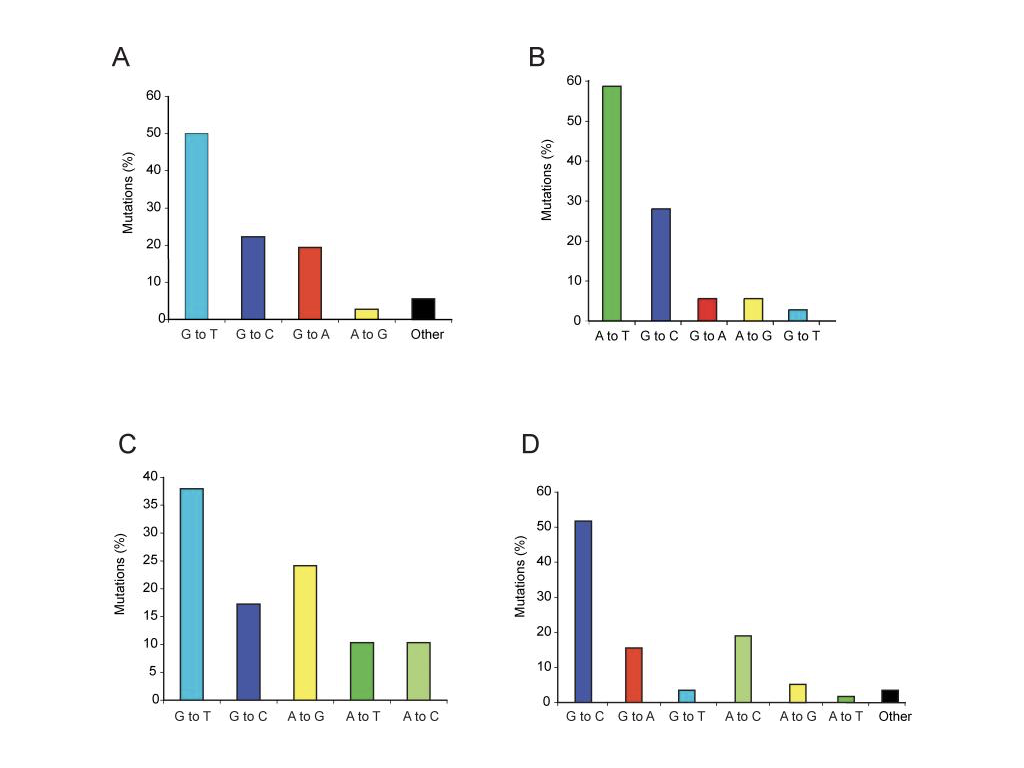 Figure 1: Mutation spectra for the p53 in Hupki mouse embryonic fibroblasts when exposed to benzo(a)pyrene (A), aristolochic acid (B), 3-nitrobenzanthrone (C), and control conditions (D). Figure adapted from Pfeifer &amp; Besaratinia, Human Genetics (2009)