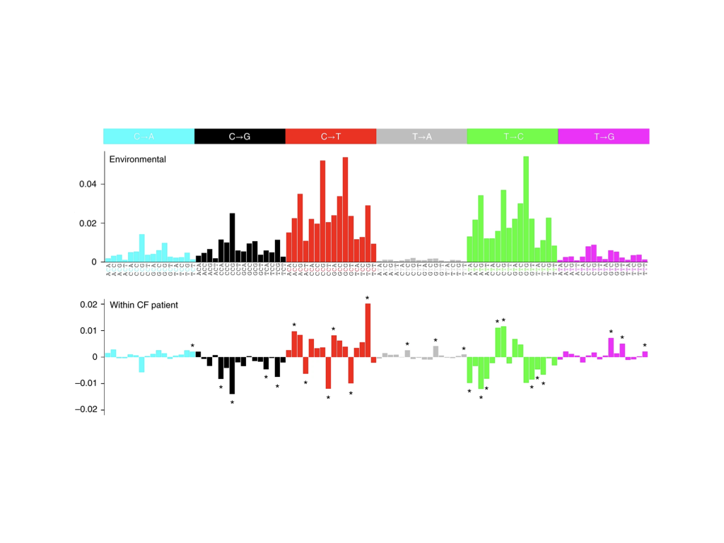 Figure 2: Mutational spectra for environmental M. abscessus samples (above) and patient-isolate samples (below, shown as difference from environmental spectrum)
