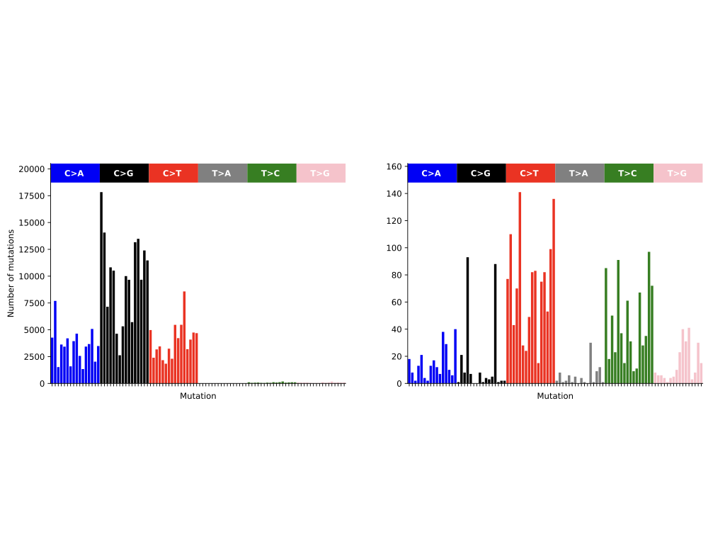 Figure 4: MutTui plot showing skewed spectra (at left), and corrected spectra obtained after branch-rescaling (at right)