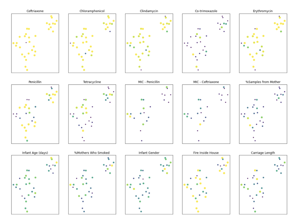 Figure 6B: UMAP projections of mutational spectra of the 33 Maela_GPSC clusters, coloured by various metadata