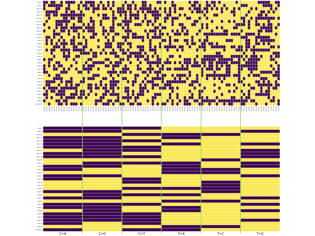 Figure 7: Risk analysis for substitutions with (above) and without (below) context (Purple=True, Yellow=False)