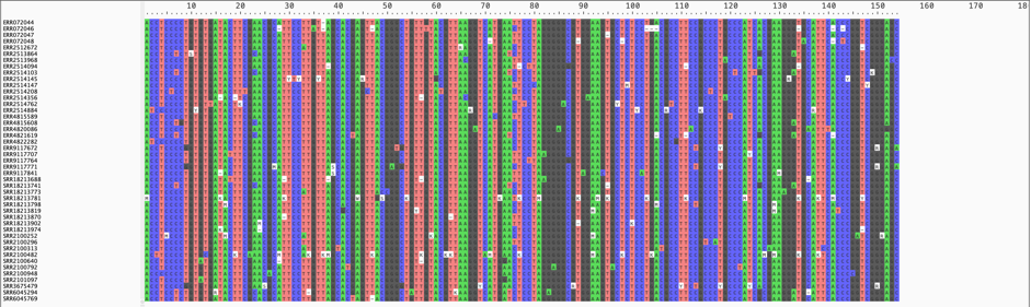 alignment obtained with &ndash;no-gap-only-sites &ndash;filter-ambig-as-missing