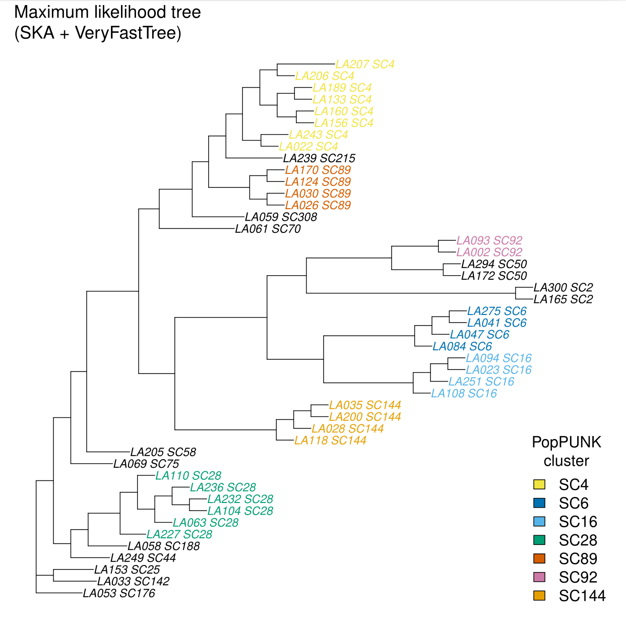 A phylogenetic trees constructed with SKA + VeryFastTree and coloured by PopPUNK cluster. The topography nicely corresponds with the clusters.