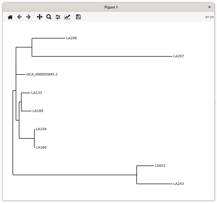 Phylogenetic tree from Gubbins